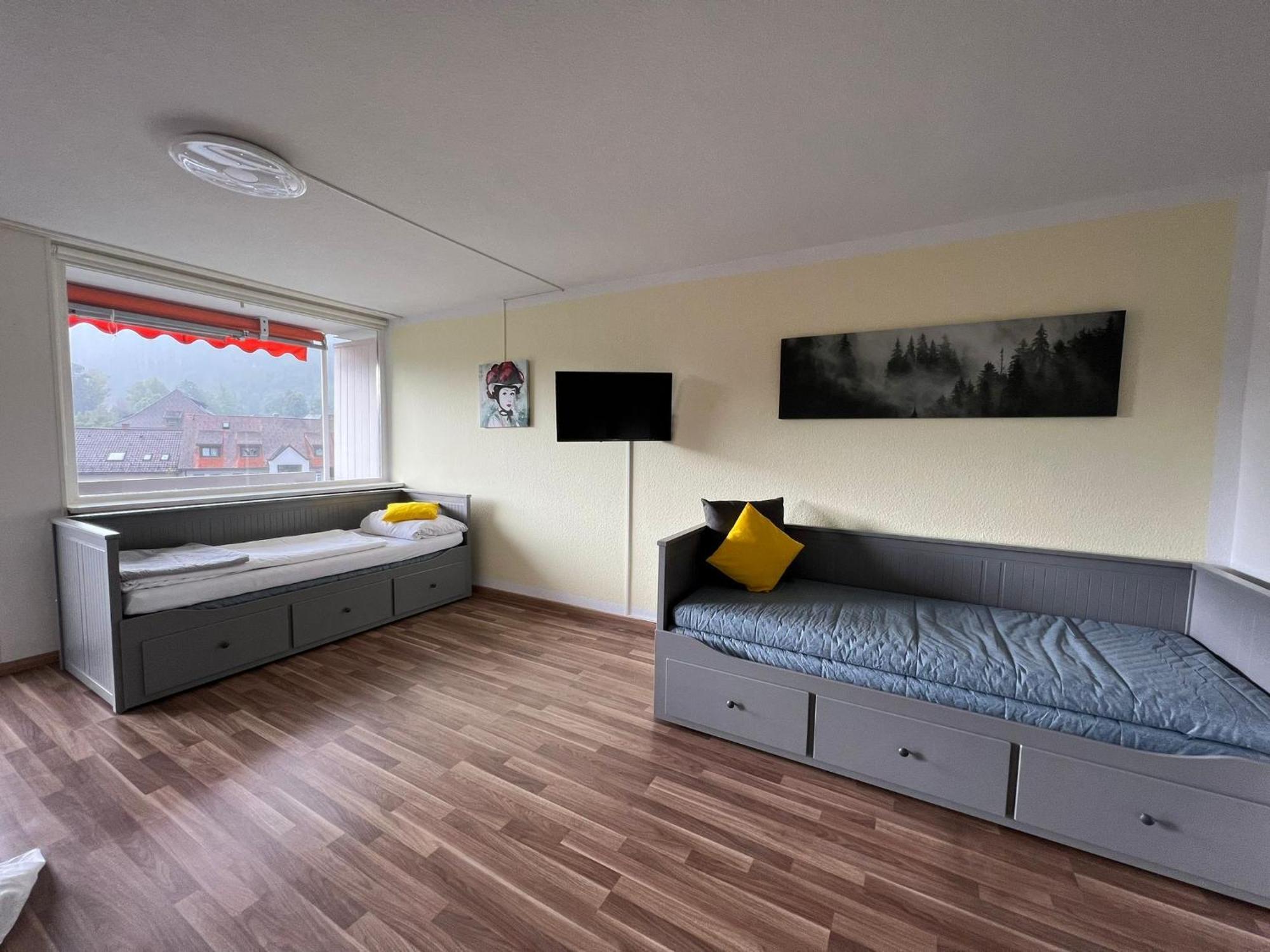 Domview Apartment St. Blasien Ngoại thất bức ảnh